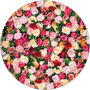 Andżelika Myśtal Andżelika Myśtal