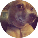 Bartek Szczur Bartek Szczur