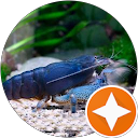 Kowalski Janusz Kowalski Janusz