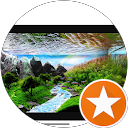 Marta Banasiak (Zielarz Szczecin) Marta Banasiak (Zielarz Szczecin)