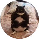 Zuzia Księżak profile picture